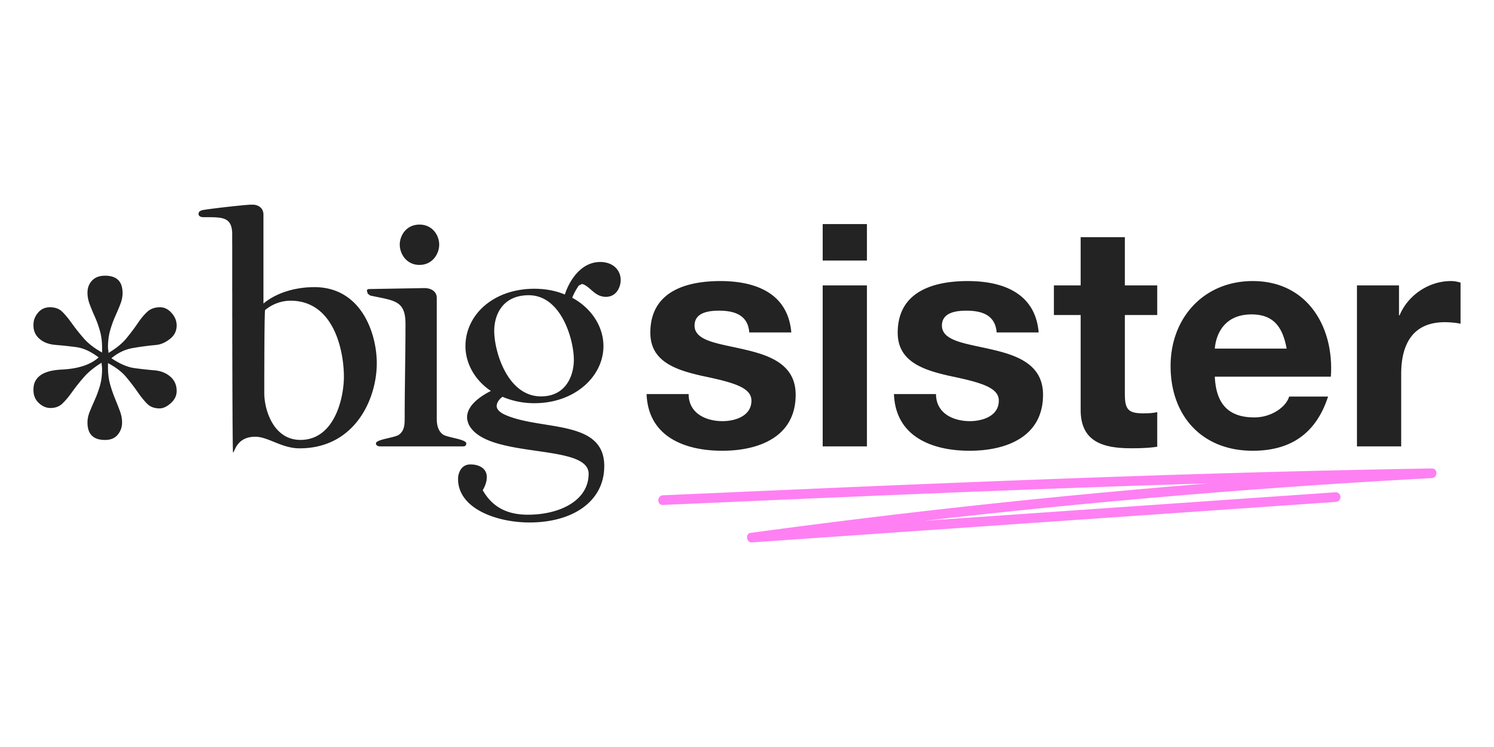 BigSister Trainings